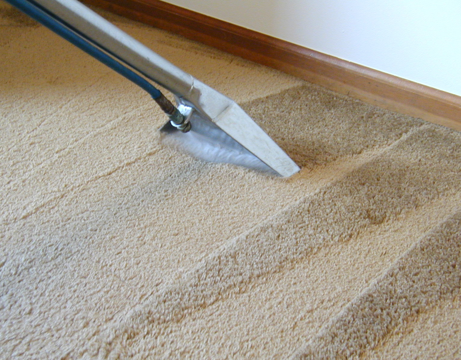 carpet sample