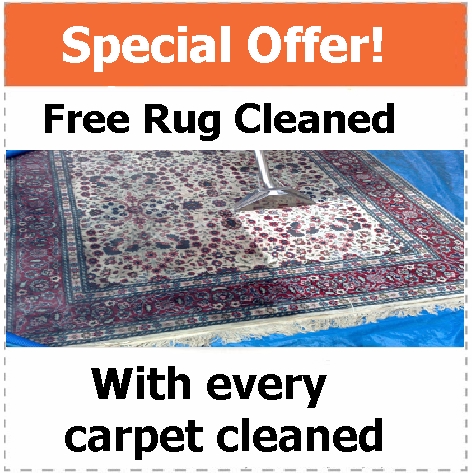 rug offer